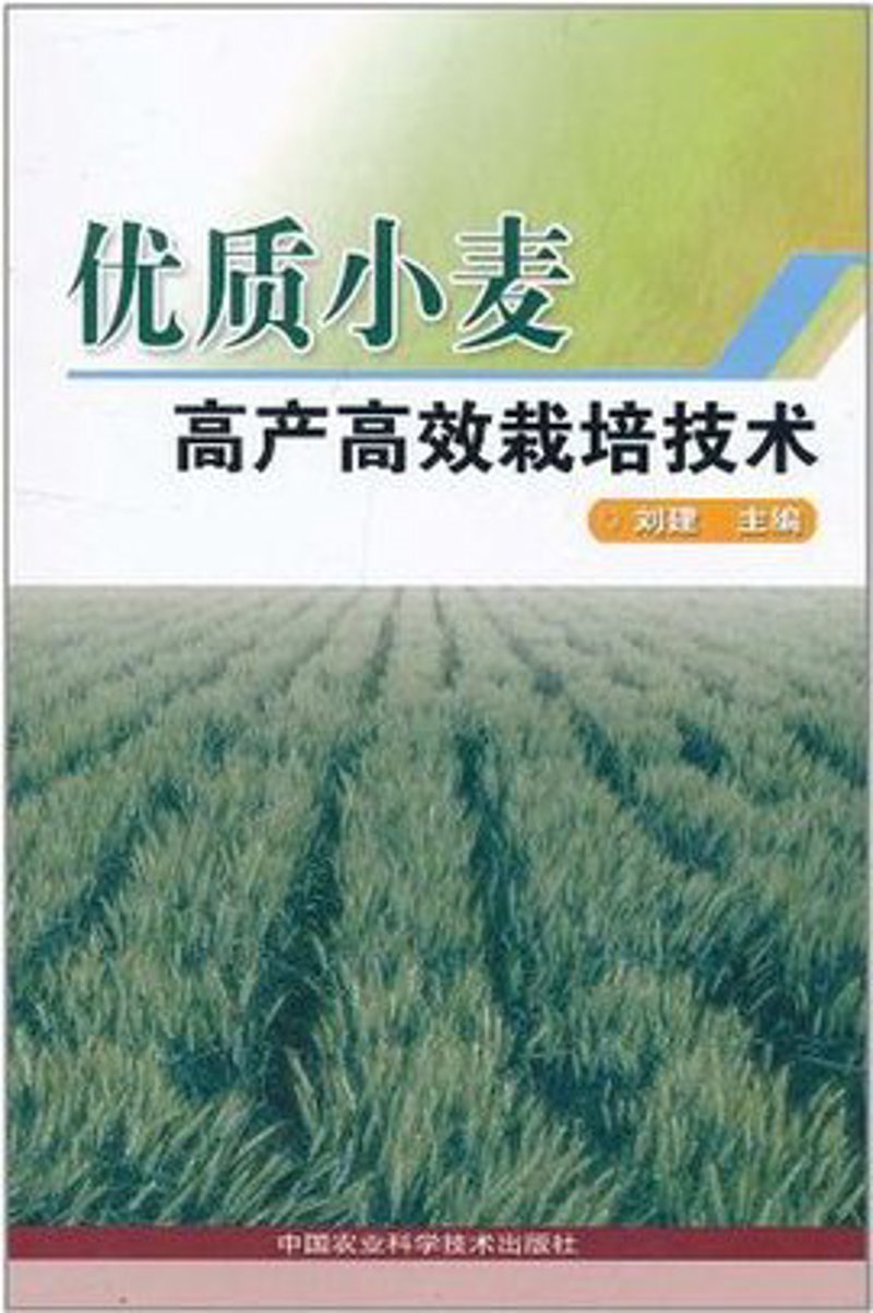 品牌策划:打造企业核心竞争力的金钥匙
